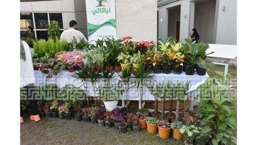 حقوق الإنسان في كرة القدم تقدم في ندوة تثقيفية