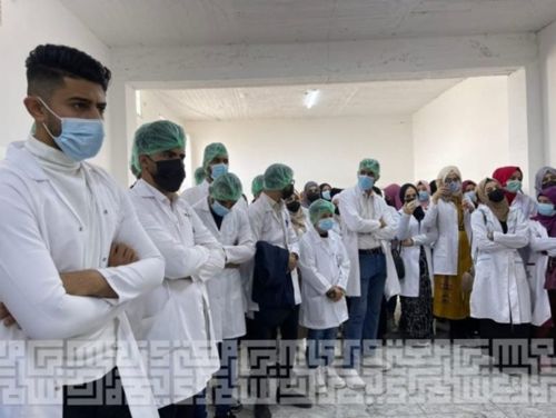 تأثير بعض المتغيرات الفسلجية والكيموحيوية والهرمونية في مصل الدم تناقش في رسالة ماجستير