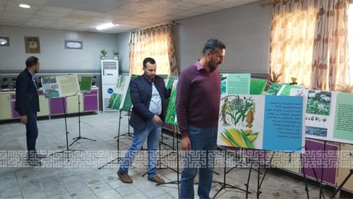 استعدادات كلية الزراعة لإقامة معرضها الزراعي الأول