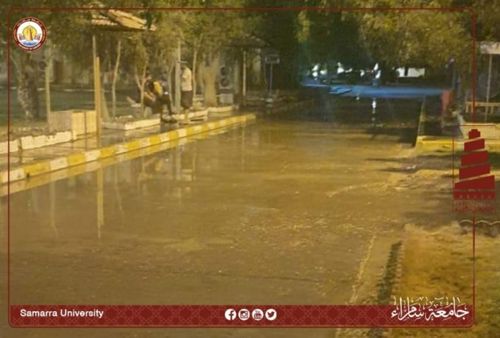 تأثير ترددات وسائل الاتصال على الدماغ ورشة علمية قدّمها قسم الفيزياء