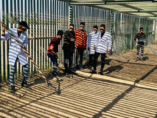 الدروس العمليه لمادة انتاج الخضر