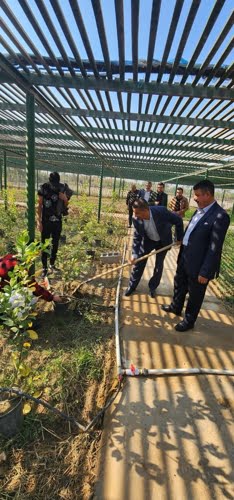 مشاركة عميد كلية الزراعة في الممارسات الحقلية