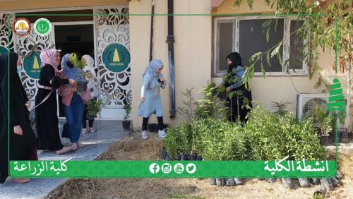 كلية الزراعة تطلق حملة تحدي  للتشجير  ومكافحة للتصحر