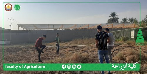 الممارسة الحقلية