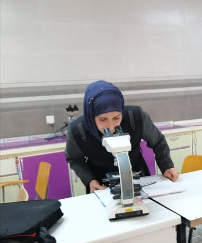 تصنيف النبات للمرحلة الثانية