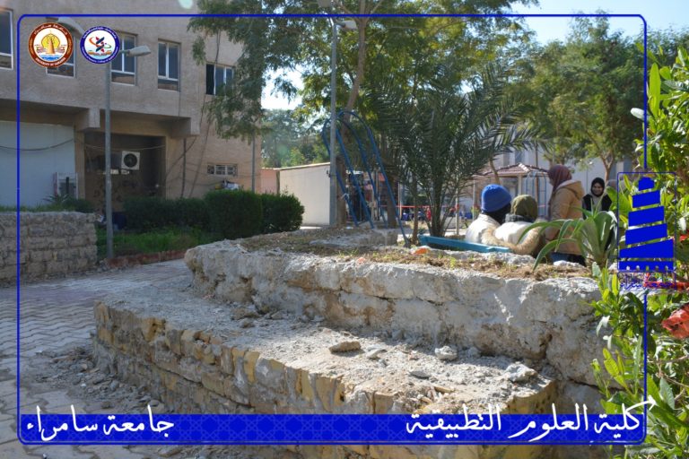التربية البدنية تعلن عن بطولة في الكرة الطائرة