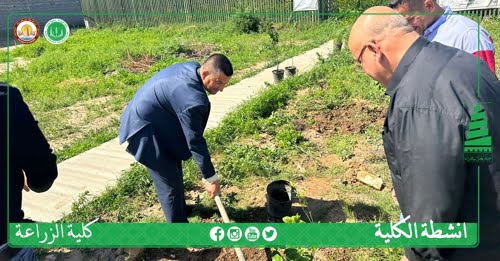 اطلقنا حملة التشجير وحان وقت التنفيذ