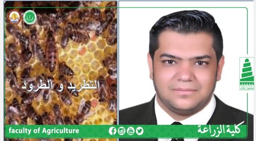 التطريد و الطرود  Swarming and bee swarms
