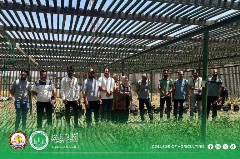 قسم المحاصيل الحقلية يطلق جولة ميدانية لمعاينة محصول القطن ومحاصيل الظل