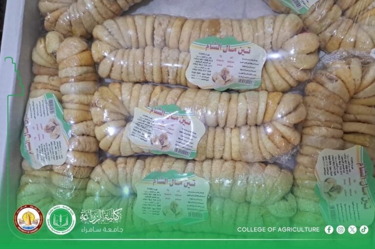 تنويه توعوي – بشأن التين المجفف المعالَج كيميائيًا