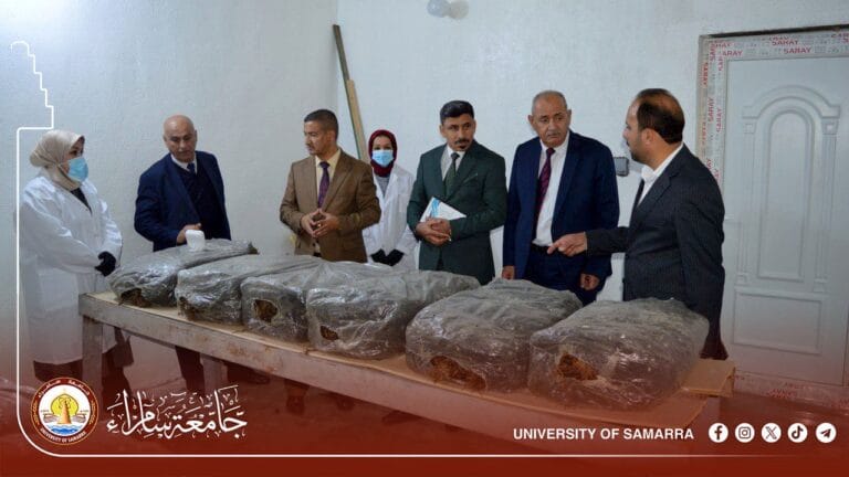 بتجربة هي الأولى من نوعها… كلية الزراعة تنجح بزراعة فطر الأغاريكاس الأبيض والبني