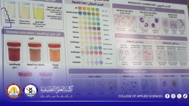 ‏طلبة التحليلات المرضية يباشرون بإعداد بوسترات علمية بإشراف تدريسيين في التطبيقية